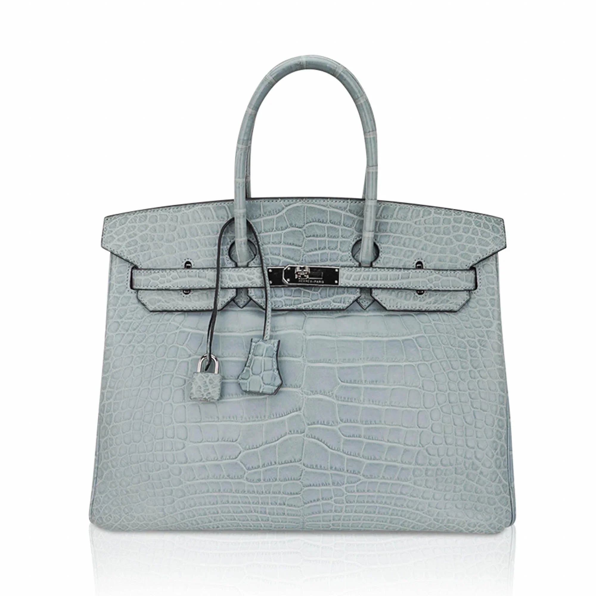 Limited Edition Birkin 35 Bag Ciel Matte Alligator with Palladium Hardware