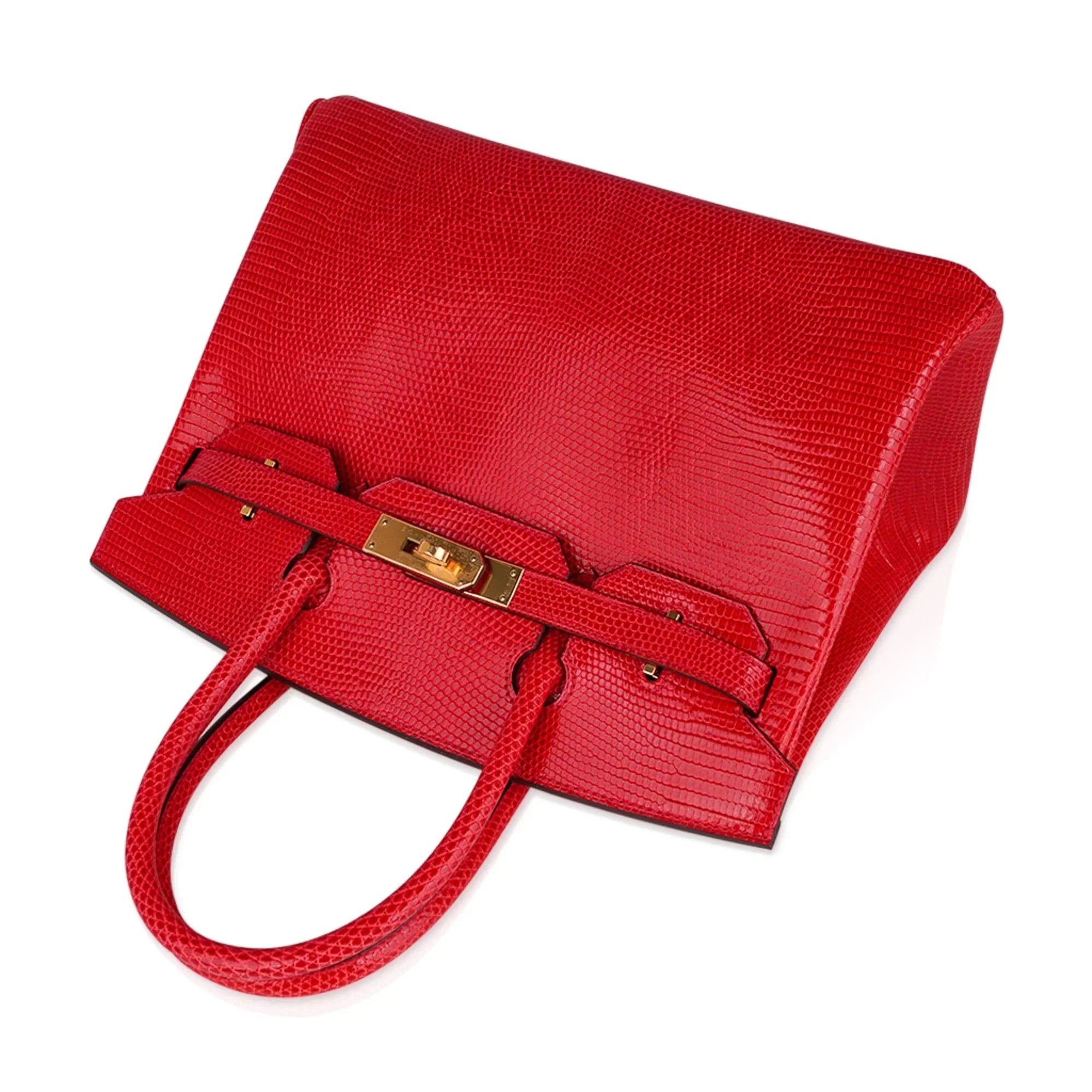 Birkin 30 Bag Rouge Exotique Lizard Limited Edition Gold Hardware Rare