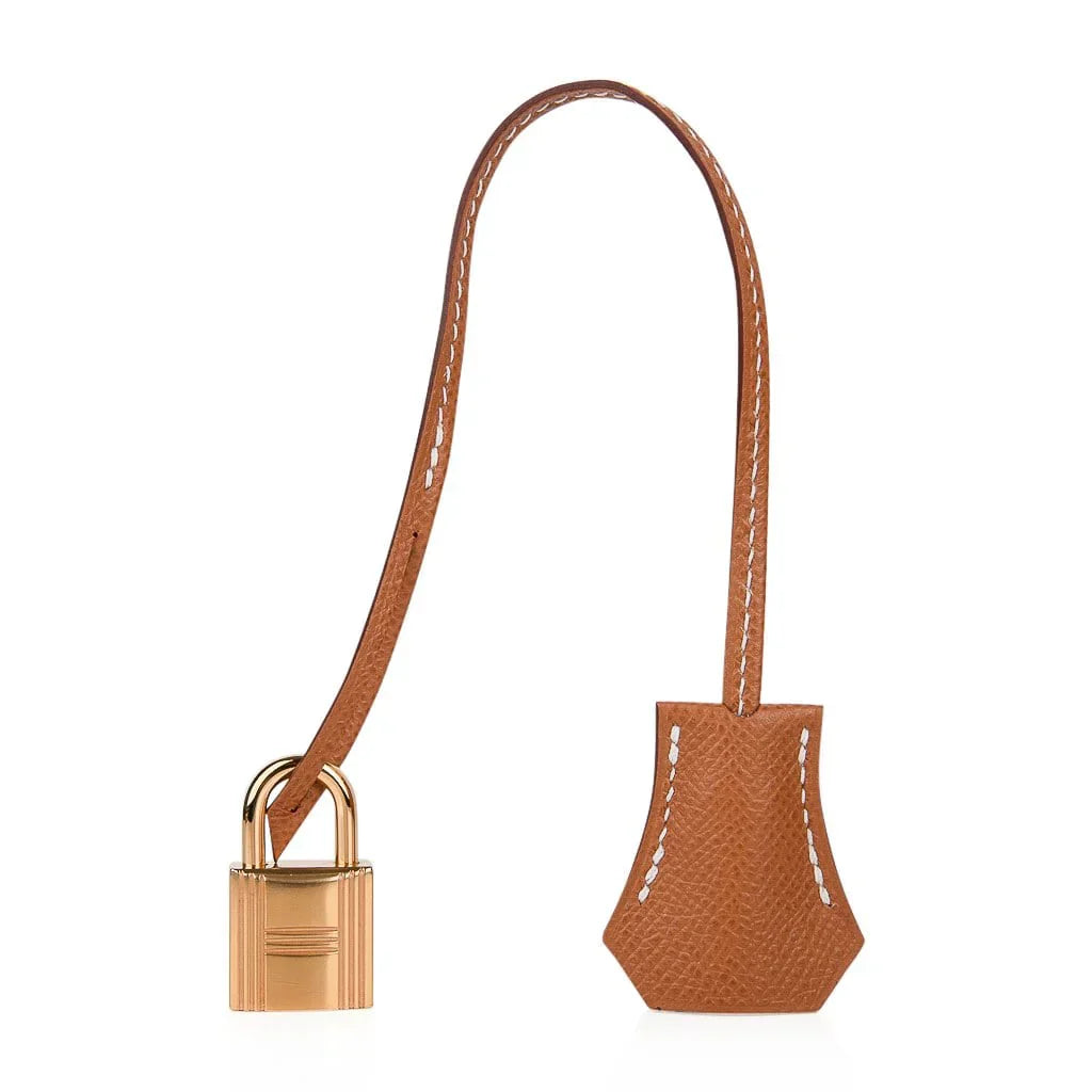 Birkin 30 Sellier Bag Gold Veau Graine Monsieur Brass Limited Edition